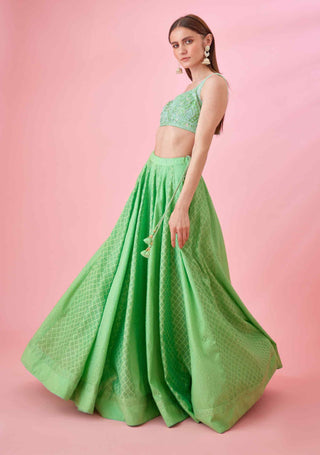 Shyam Narayan Prasad-Irish Green Threadwork Lehenga Set-INDIASPOPUP.COM