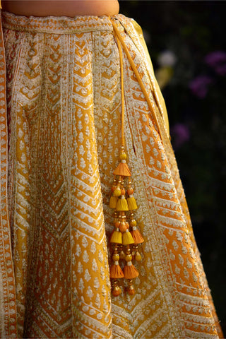 Apricot Yellow Embroidered Lehenga Set by Shyam Narayan Prasad, available on Indiaspopup.com