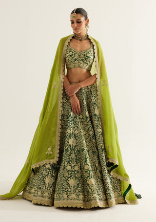Shyam Narayan Prasad-Verdant Green Zari Embroidered Lehenga Set-INDIASPOPUP.COM