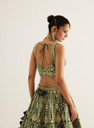 Shyam Narayan Prasad-Verdant Green Zari Embroidered Lehenga Set-INDIASPOPUP.COM