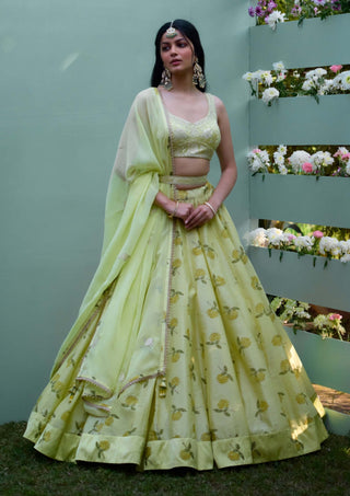 Canary Yellow Printed Lehenga Set by Shyam Narayan Prasad, available on Indiaspopup.com
