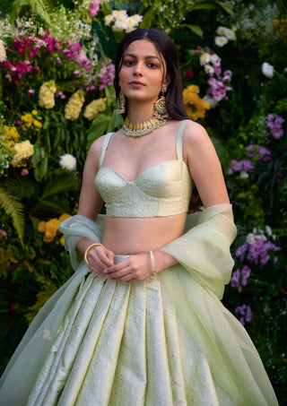 Medow Mist Green Brocade Lehenga Set by Shyam Narayan Prasad, available on Indiaspopup.com