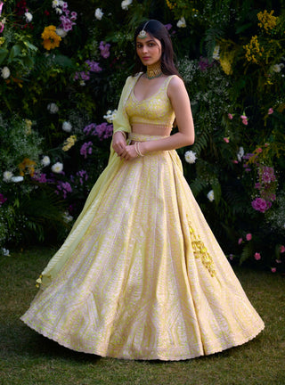 Sunshine Yellow Embroidered Lehenga Set by Shyam Narayan Prasad, available on Indiaspopup.com