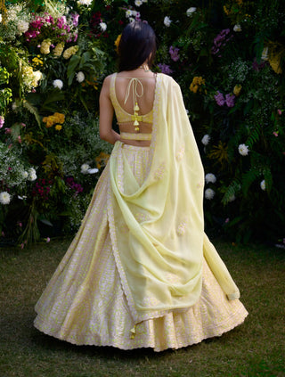 Sunshine Yellow Embroidered Lehenga Set by Shyam Narayan Prasad, available on Indiaspopup.com
