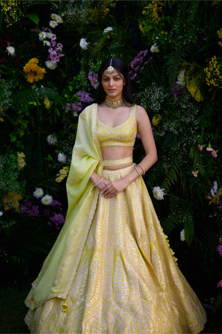 Sunshine Yellow Embroidered Lehenga Set by Shyam Narayan Prasad, available on Indiaspopup.com