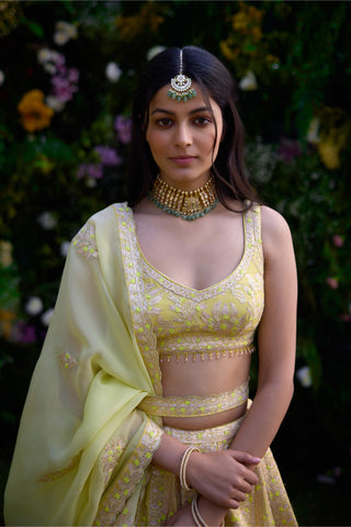 Sunshine Yellow Embroidered Lehenga Set by Shyam Narayan Prasad, available on Indiaspopup.com