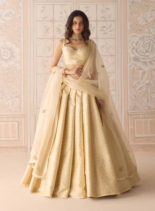 Butterfly green gota embroidered lehenga set