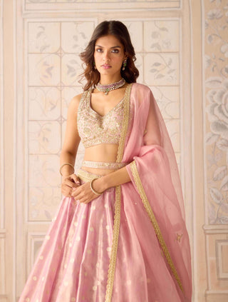 Blush pink organza tissue brocade lehenga set