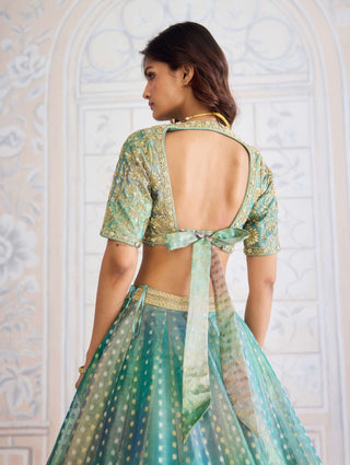 Dusty turquoise green tissue organza brocade set