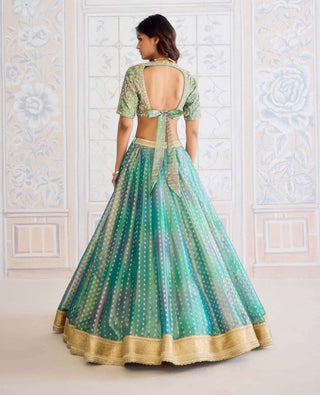 Dusty turquoise green tissue organza brocade set