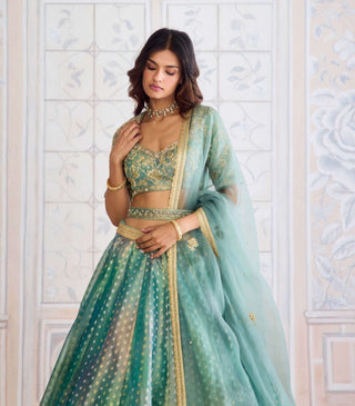 Dusty turquoise green tissue organza brocade set