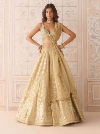 Gold tissue organza brocade lehenga set