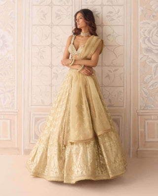 Gold tissue organza brocade lehenga set