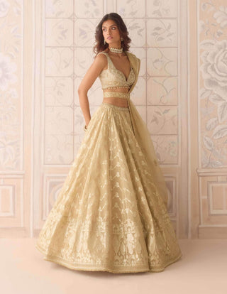 Gold tissue organza brocade lehenga set