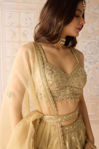 Gold brocade zardozi lehenga set