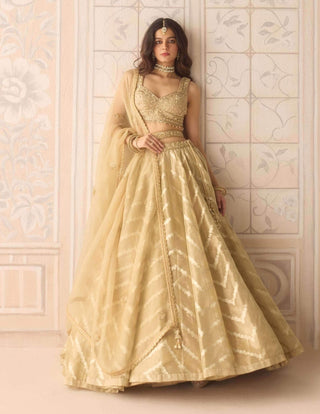 Gold brocade zardozi lehenga set