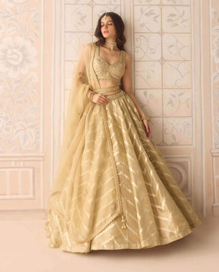 Gold brocade zardozi lehenga set