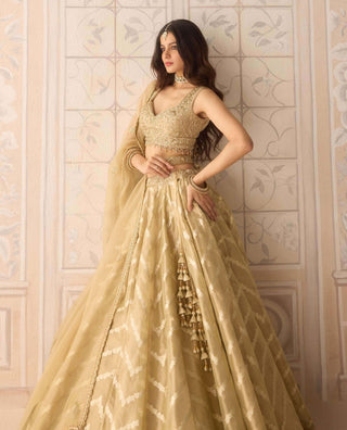 Gold brocade zardozi lehenga set