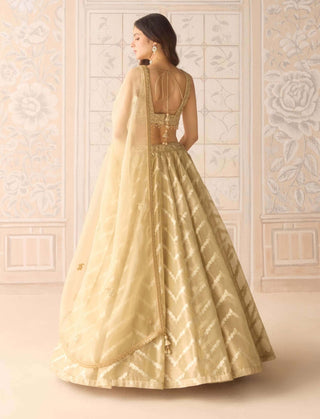 Gold brocade zardozi lehenga set
