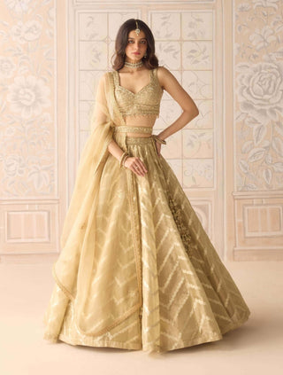 Gold brocade zardozi lehenga set
