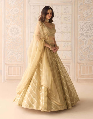 Gold brocade zardozi lehenga set