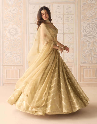 Gold brocade zardozi lehenga set