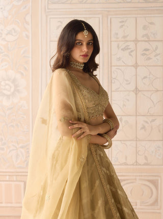 Gold brocade zardozi lehenga set