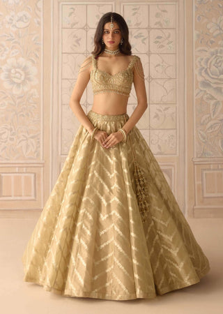 Gold brocade lehenga set