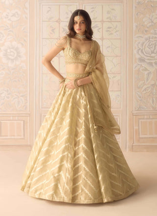 Gold brocade lehenga set