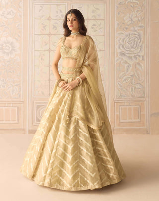 Gold brocade lehenga set