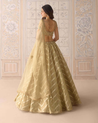 Gold brocade lehenga set