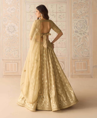 Gold dazzle brocade lehenga set