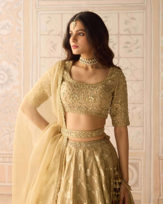 Gold dazzle brocade lehenga set