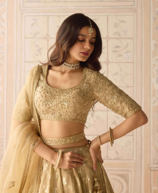 Gold dazzle brocade lehenga set