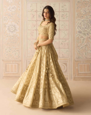 Gold dazzle brocade lehenga set