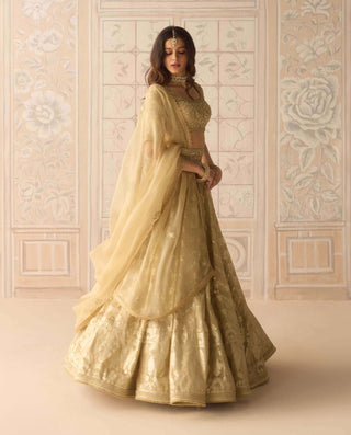 Gold dazzle brocade lehenga set