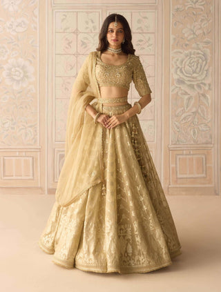 Gold dazzle brocade lehenga set