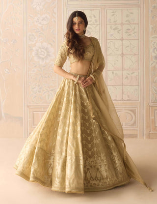 Gold dazzle brocade lehenga set