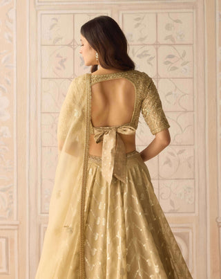 Gold dazzle brocade lehenga set