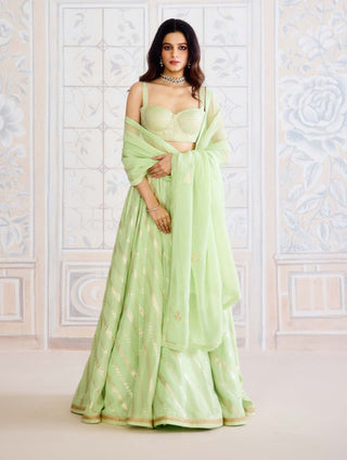 Butterfly green brocade lehenga set