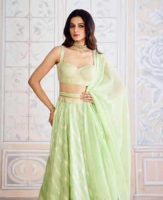 Butterfly green brocade lehenga set