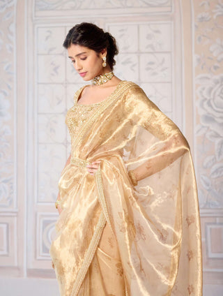 Gold printed brocade sari set