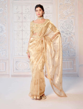 Gold printed brocade sari set