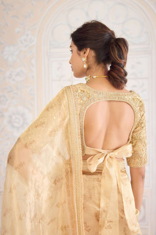 Gold printed brocade sari set