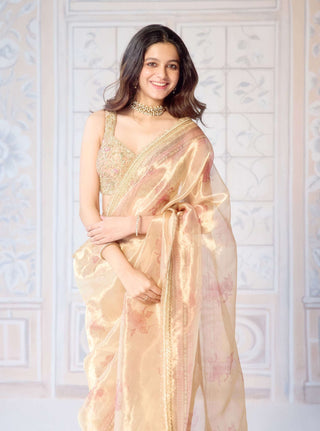 Gold printed tissue brocade sari set