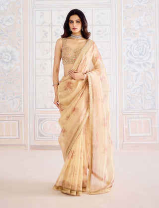 Gold printed tissue brocade sari set