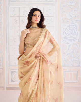 Gold printed tissue brocade sari set