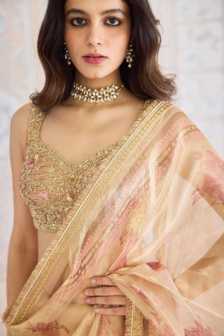 Gold printed tissue brocade sari set