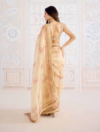 Gold printed tissue brocade sari set