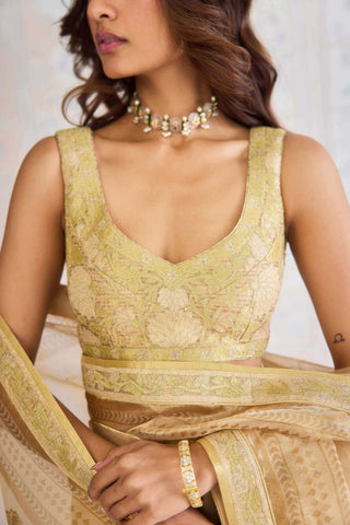 Gold block printed brocade sari set